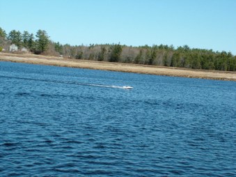 Enlarge photo 684
