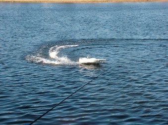 Enlarge photo 685