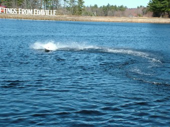 Enlarge photo 691