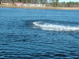Enlarge photo 692
