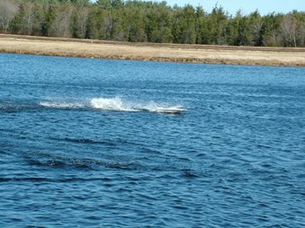 Enlarge photo 695