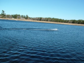 Enlarge photo 705