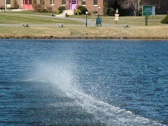 Enlarge photo 710
