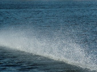 Enlarge photo 720