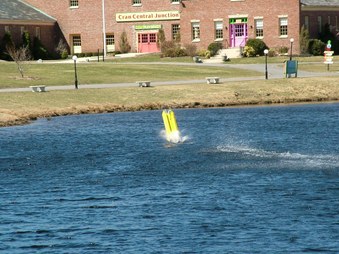 Enlarge photo 722