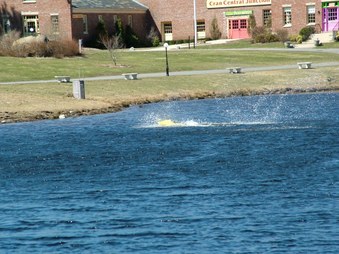 Enlarge photo 723