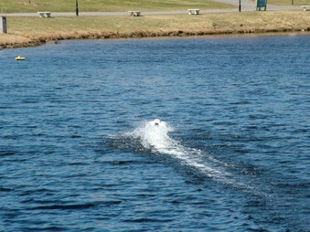 Enlarge photo 728