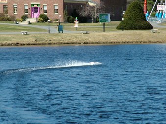 Enlarge photo 731