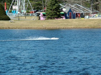 Enlarge photo 733
