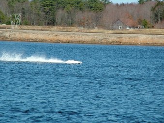 Enlarge photo 738