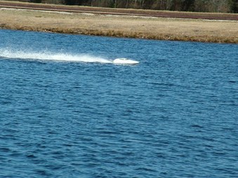 Enlarge photo 740