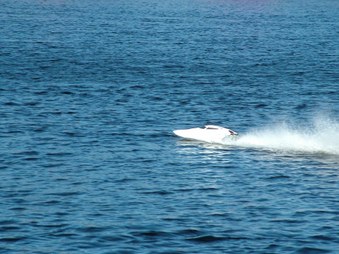 Enlarge photo 745