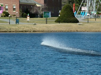 Enlarge photo 755