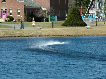 Enlarge photo 756