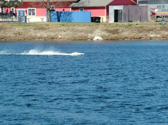 Enlarge photo 759