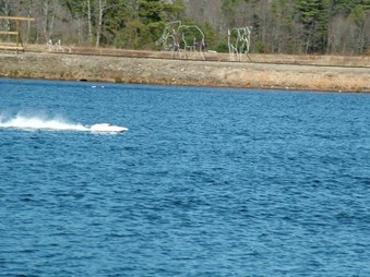 Enlarge photo 761