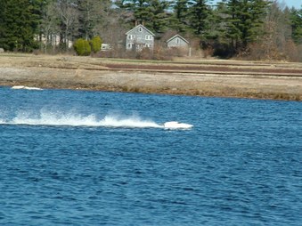 Enlarge photo 763