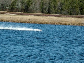 Enlarge photo 764