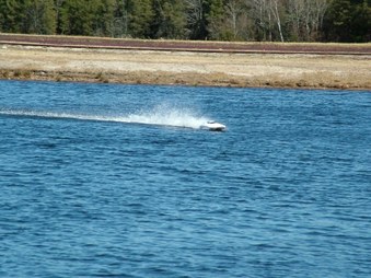 Enlarge photo 765