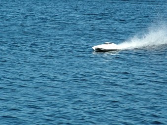 Enlarge photo 767