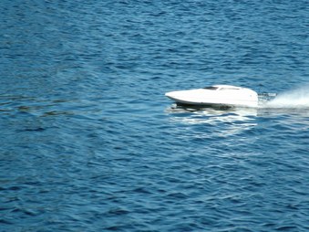 Enlarge photo 768