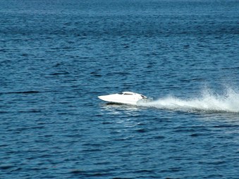 Enlarge photo 770
