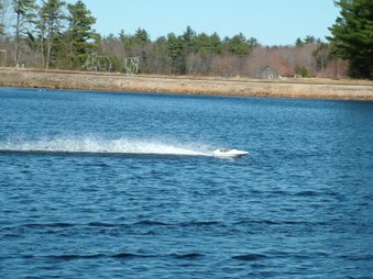 Enlarge photo 775