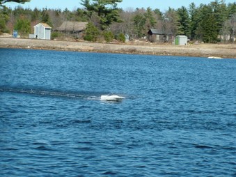 Enlarge photo 776