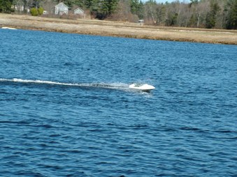 Enlarge photo 777