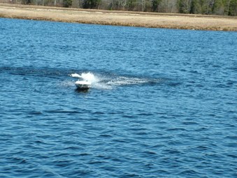 Enlarge photo 778