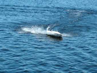 Enlarge photo 779