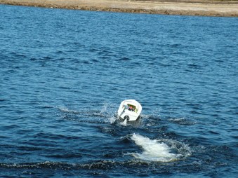 Enlarge photo 781