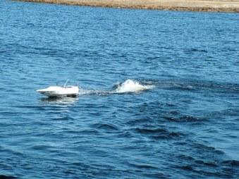 Enlarge photo 783
