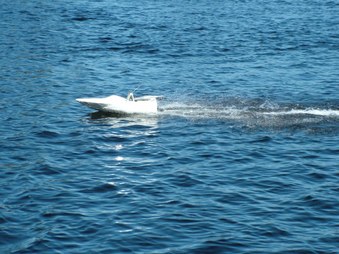 Enlarge photo 784