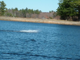 Enlarge photo 789
