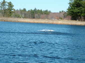 Enlarge photo 790
