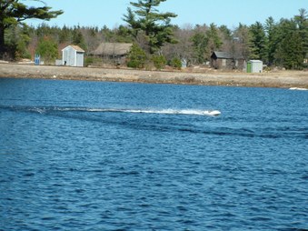Enlarge photo 792