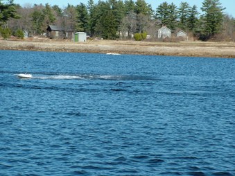 Enlarge photo 793