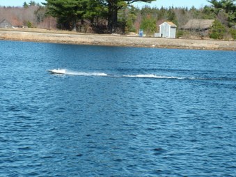 Enlarge photo 794