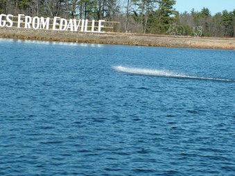Enlarge photo 795
