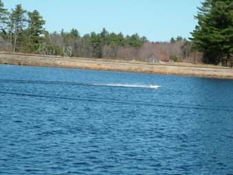 Enlarge photo 797