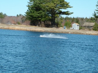 Enlarge photo 798