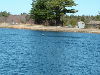 Enlarge photo 799