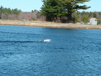 Enlarge photo 805