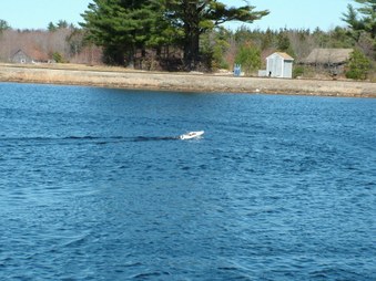 Enlarge photo 806