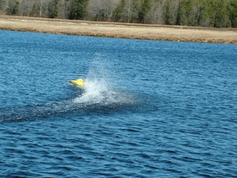Enlarge photo 810