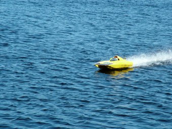 Enlarge photo 817