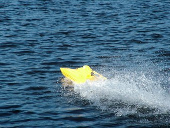 Enlarge photo 819
