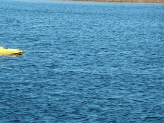 Enlarge photo 822