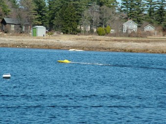 Enlarge photo 823